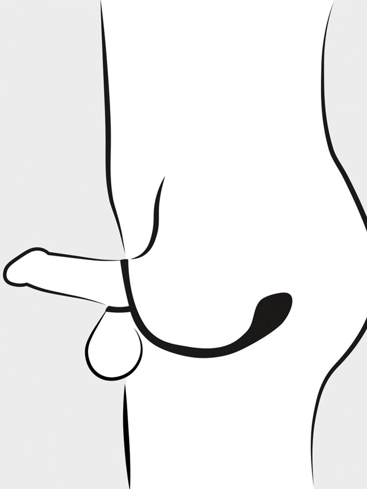 Cock & Ball Ring with Silicone Butt Plug Orion